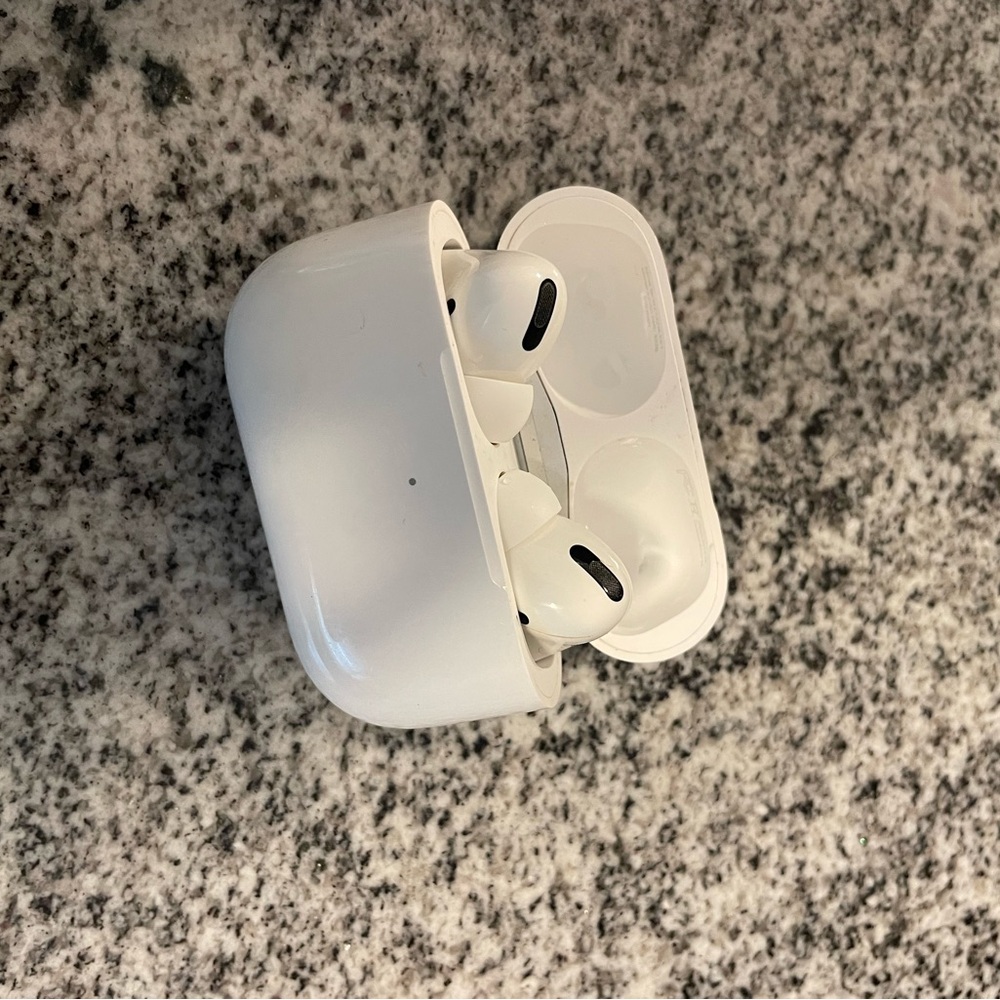 Apple White Earbud Headphones